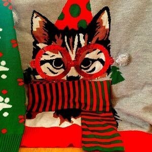 Women’s Plus Christmas Sweater Top